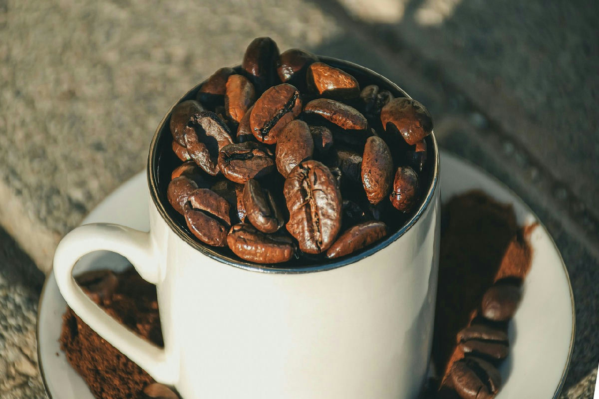 Il caffè può davvero farti perdere peso? Ecco come agisce sul metabolismo e quali risultati puoi aspettarti