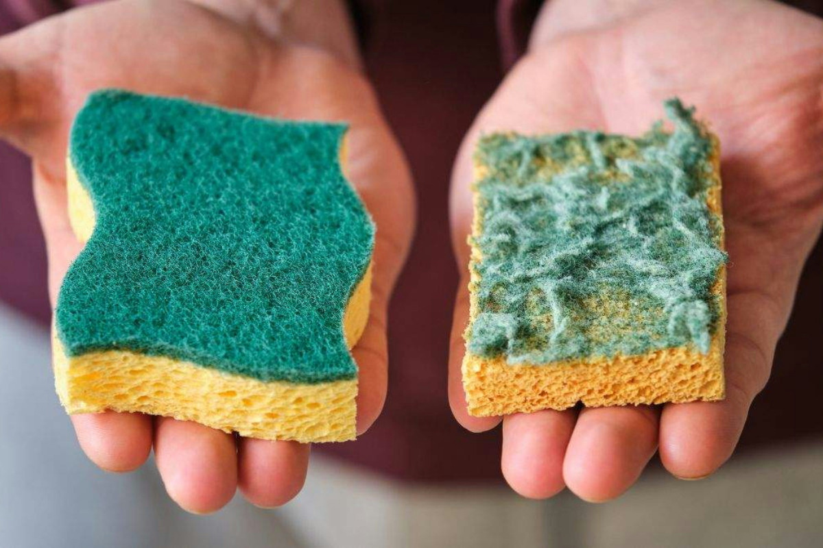 La spugna della cucina è una vera bomba di batteri: il metodo semplice che taglia i rischi